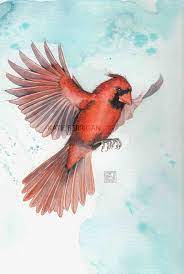 Watercolor Cardinal Painting Etsy Bird In Flight Wwwkberriganartcom Bird Drawings Flying Bird Drawing Birds Tattoo