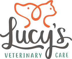 We will treat them with all the love! Pricing Lucy S Veterinary Care Mobile Vet Clinic In Smyrna Georgia