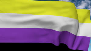 Pastel non binary flag color palette. Non Binary Pride Flag Flies In Stock Footage Video 100 Royalty Free 1033001114 Shutterstock