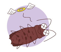 いろんなニュースブログ