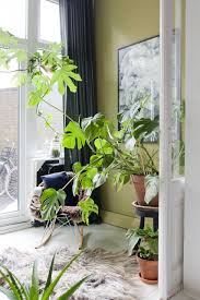 We Houden Van Groen En Van Natuur Wat Een Mooie Combinatie Urban Jungle In Your House Urbanjungle House Inspiration Plant Huis En Tuin Groen Inspireren