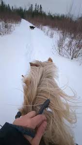 Tara Leger (@taralegerxo)