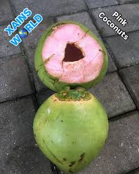 Image result for Rogiera cordata