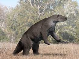 Stone age is the most interesting period to learn in the mankind history. List Of Prehistoric Animals That Are Not Dinosaurs With Pictures Facts