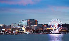 The state bird is the baltimore oriole. Maryland 2021 Best Of Maryland Tourism Tripadvisor