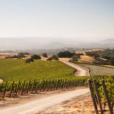 Wine country will be bustling with friends and family so be sure to. Best Paso Robles Wineries To Visit Food Wine