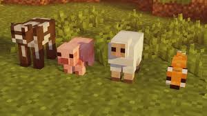 We're a community of creatives sharing everything minecraft! F8thful Bedrock Resource Packs 1 17 1 1 16 1 15 Minecraft Texture Packs