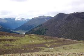 Semang memiliki leluhur jauh di semenanjung malaya, merujuk pada permukiman pertama. Yartsa Gunbu Cordyceps Sinensis And The Fungal Commodification Of Tibet S Rural Economy Springerlink