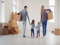 Movers and Packers product image