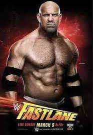 Download Full Complete Wwe Fastlane 2017 Download 1080p 720p Hdtv Mp4 Pc Hd Avi Mkv Wwe Wwe Royal Rumble Wwe Ppv