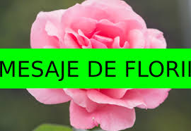 Va multumesc pentru vizionare si nu uiatati sa va abonati canalului!pentru donatii ❤ paypal.me/mesajefelicitari mesaje de 8 martie la multi ani! Mesaje UrÄri Èi FelicitÄri De Florii 2021 Cele Mai Deosebite Mesaje De La MulÈi Ani Pentru Cei Dragi Cu Nume De Flori Kanal D Romania