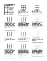 A punnett square to explain your answer. Pin By 922 Saturdays Amy On Catedra Life Science Middle School Punnett Square Activity Biology Lessons