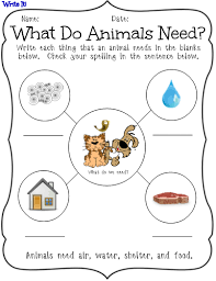 What Do Animals Need This Worksheet Is A Purrfect Addition To Your Animal Unit Have Your Students W Animal Worksheets Living And Nonliving Pets Preschool