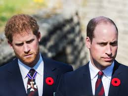 Prince harry, also known as the duke of sussex, is married to meghan markle. Prince Harry And Prince William Respond To Claims That Their Charities Mishandled Funds Vanity Fair
