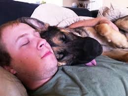 Facts about Men and Their Dogs