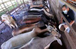 1.gambar manakah yang menunjukkan kegiatan produksi,distribusi,dan konsumsi? Fvj Fidnw6w0jm