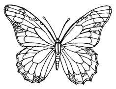 Print free butterfly coloring page coloring page & book. Haniel Christian Hanielsoegiono Profil Pinterest