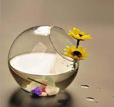 Hanging glass hydroponic flower plant vase terrarium fish pot diy home decor. Crystal Glass Planter Flower Vase Fishbowl Fish Bowl Tank Terrarium Container Hydroponic Pot Home Wedding Party Decoration Gift Gift Table Decorations Gift Hospitalgifts For Cake Decorators Aliexpress