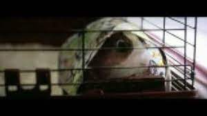 We did not find results for: Bedtime Stories Bugsy From The Entire Film Youtube