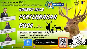 382, jalan pasir puteh, taman boon bak, 31650 ipoh, negeri peraki osariik, malaisia. Jabatan Perkhidmatan Veterinar Negeri Perak Accueil Facebook