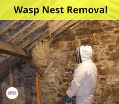 Pest control experts charge an average rate of about $52.50/hr for a standard job. Wasps Nest Removal What You Need To Know Solutions And Cost