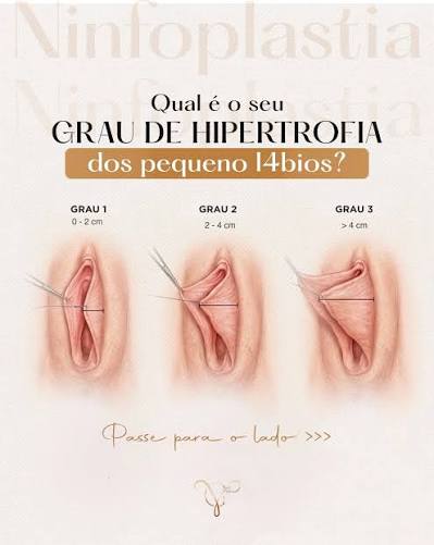 Imagem central da discussão acadêmica
