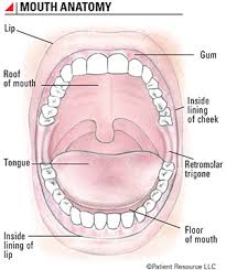 This area involves the back of the tongue, the soft palate. Patient Resource Publishing Immunotherapy Oral
