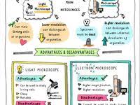 Chemical Nomenclature Chemistry Lessons Teaching Chemistry Study Chemistry