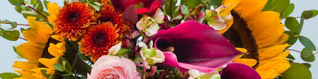 Check spelling or type a new query. Wedding Flowers Order Ahead Jewelosco