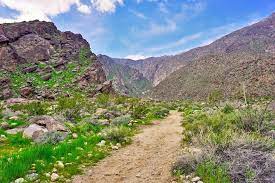 17 Best Hikes In Palm Springs Ca Planetware