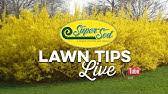 Make your flight plan at skyvector.com. March Lawn Tips Live From Super Sod Of Greenville Sc Youtube