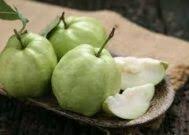 Panduan lengkap cara menanam jambu kristal agar cepat berbuah cara pemupukan jambu kristal. Bagaimanakah Cara Menanam Tanaman Buah Jambu Kristal Dengan Mudah