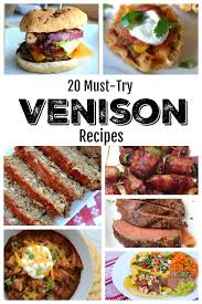 He enjoyed the sport and our freezer had venison in it quite often. 20 Must Try Venison Recipes Southern Made Simple