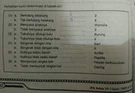 Identifikasi adalah menentukan perasamaan dan perbedaan antara dua unsur (tumbuhan) yaitu apakah dua unsur itu sama atau tidak. Soalnya 1 Sebutkan Urutan Nomor Kunci Determinasi Untuk Ikan Dan Kadal 2 Buatlah Kunci Determinasi Brainly Co Id