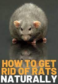 Pin On Ideas Creative