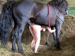 horseporn.tv