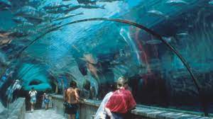 Maybe you would like to learn more about one of these? Aktualisiert 2021 Harborside Resort At Atlantis Nassau Bahamas Labor Day Week Appartement In Paradise Island Tripadvisor