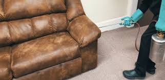 Most stay near where people sleep, hiding near the bed, a couch or armchair (if that's where you snooze)—even cribs and playpens. What Are Bed Bugs Delk Pest Control