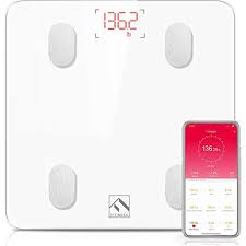 Best Digital Smart Scales For Pregnancy Mombrite