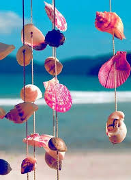 Deniz Kabuklari Sanatsal Resimler Sanatsal Deniz Kabuklari