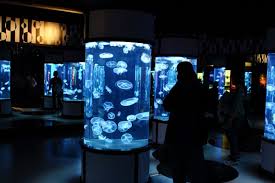 Photos The Best Attractions For Kids Aquarium Architecture Aquarium Kids Attractions