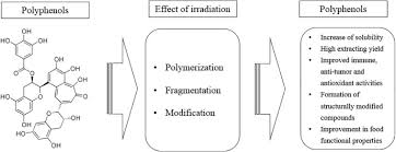 Effect Of Novel Technologies On Polyphenols During Food