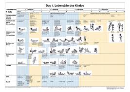 Quellen teil 3 teil 2 teil 1 gliederung gliederung herzlich willkommen zu unserem heutigen elternabend. Das 1 Lebensjahr Des Kindes Poster Hansisches Verlagskontor Gmbh Verlag Verlagsgruppe Beleke Online Shop