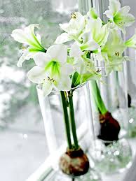 Pretty Christmas Flower Arrangements Simple Christmas Decor Bulb Flowers Christmas Decorations