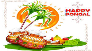Pongal is one of the widely celebrated indian festivals in south india. X7tkjedkx6ufem