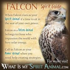 Birds Of A Feather Flock Together Meaning In Tamil Falcon Symbolism Meaning Spirit Totem Power Animal