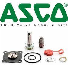 316233 Asco Rebuild Kit Valin