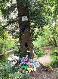 The tragic death of Joshua Hillstead, eight, and another Midlands teen has  led to warnings over the deceptive dangers of open water.