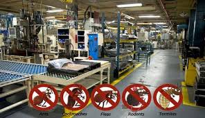 We offer free quotes with best deals and offers pest control in pune. Food Processing Industry Pest Control Service In Pune Id 6311698788