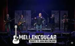 Mellencougar in Munster, IN